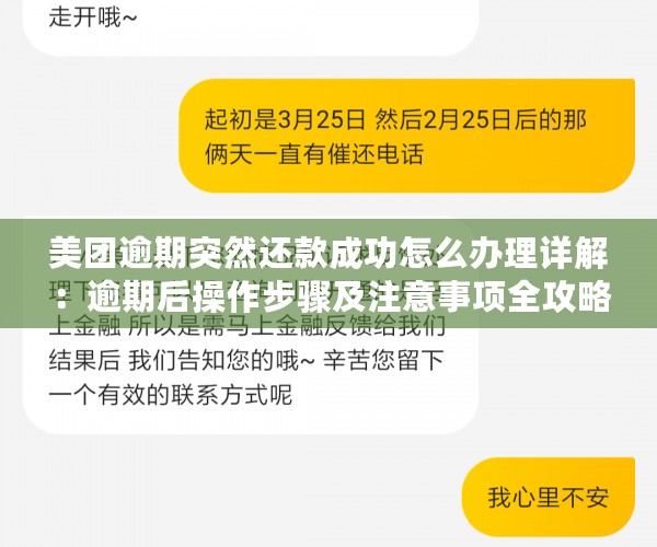 美团逾期突然还款成功怎么办理详解：逾期后操作步骤及注意事项全攻略