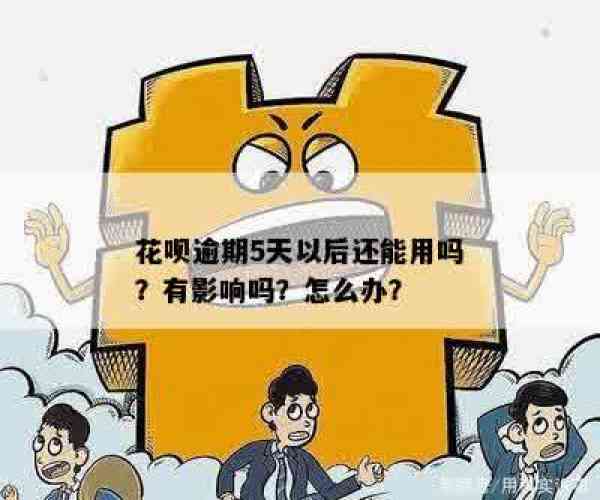 花呗逾期了还了还能用吗：花呗逾期还了以后是否还能使用