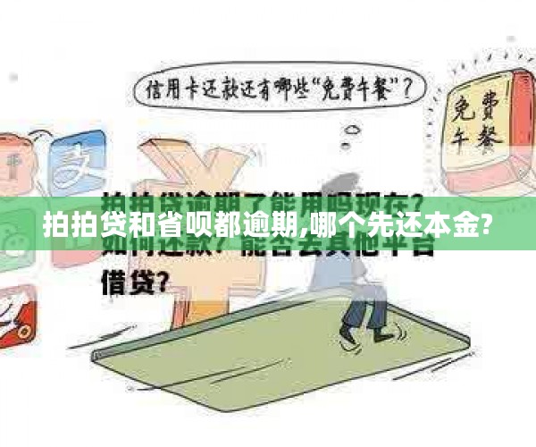 拍拍贷和省呗都逾期,哪个先还本金?