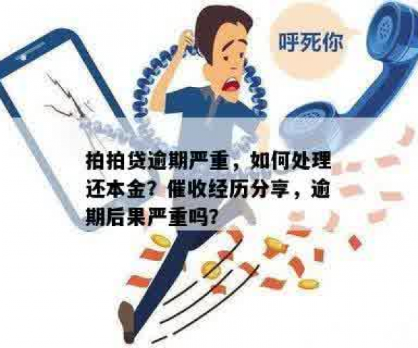 拍拍贷和省呗都逾期时哪个先还本金