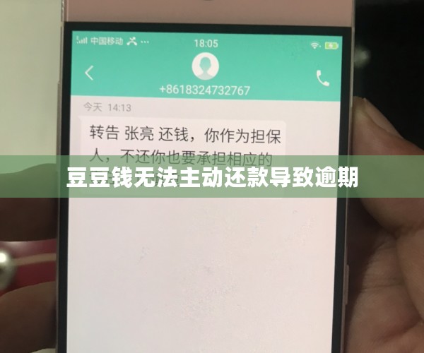 豆豆钱无法主动还款导致逾期