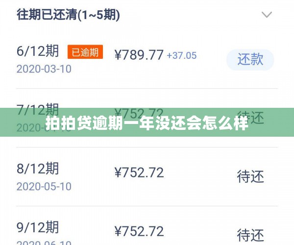 拍拍贷逾期一年没还会怎么样