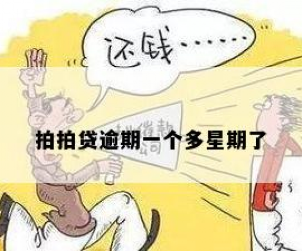 拍拍贷逾期一年没还会怎么样