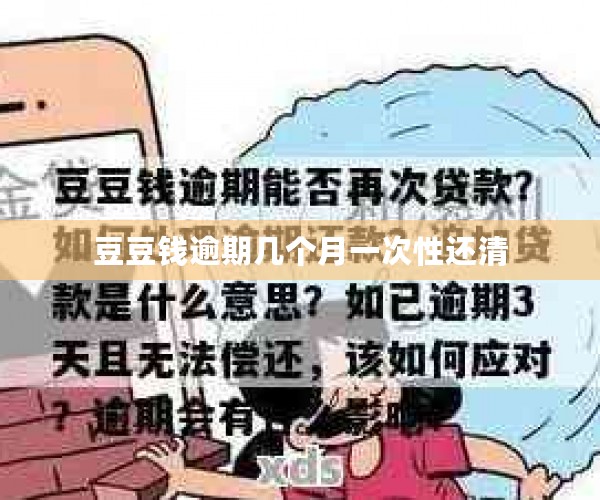 豆豆钱逾期几个月一次性还清