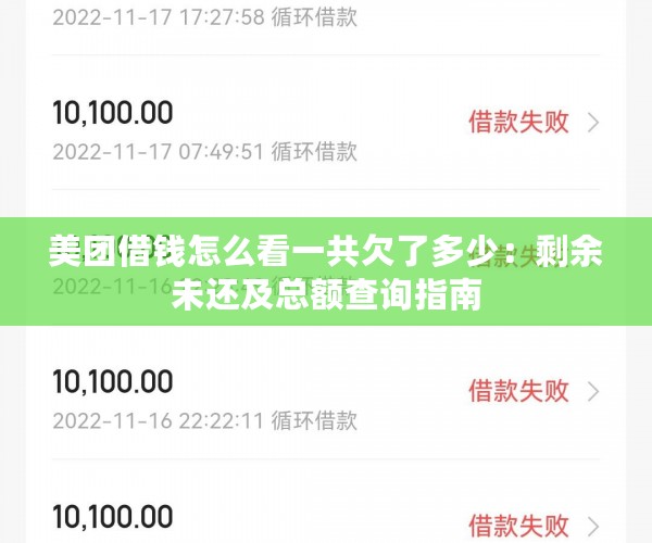 美团借钱怎么看一共欠了多少：剩余未还及总额查询指南