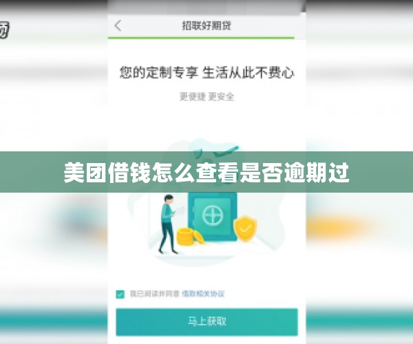 美团借钱怎么查看是否逾期过