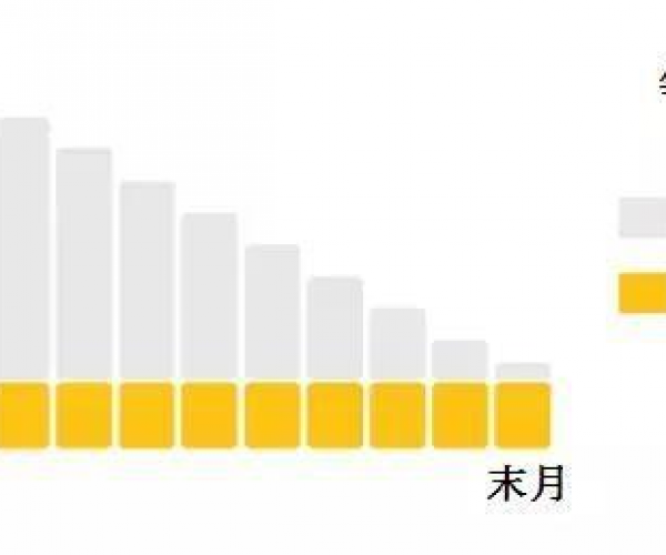 「来分期还本金行吗：本金利息偿还规定与合法性解析」