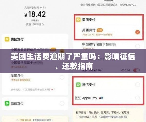 美团生活费逾期了严重吗：影响征信、还款指南