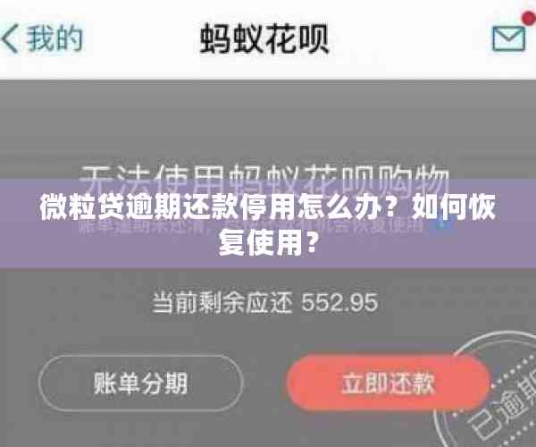 微粒贷逾期还款停用怎么办？如何恢复使用？