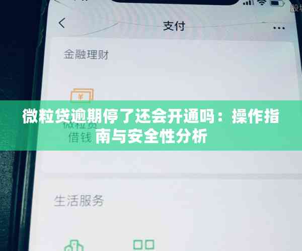 微粒贷逾期停了还会开通吗：操作指南与安全性分析