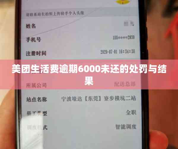 美团生活费逾期6000未还的处罚与结果