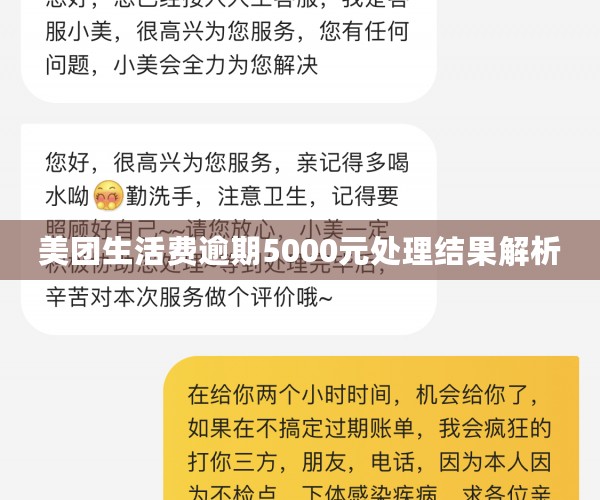 美团生活费逾期5000元处理结果解析