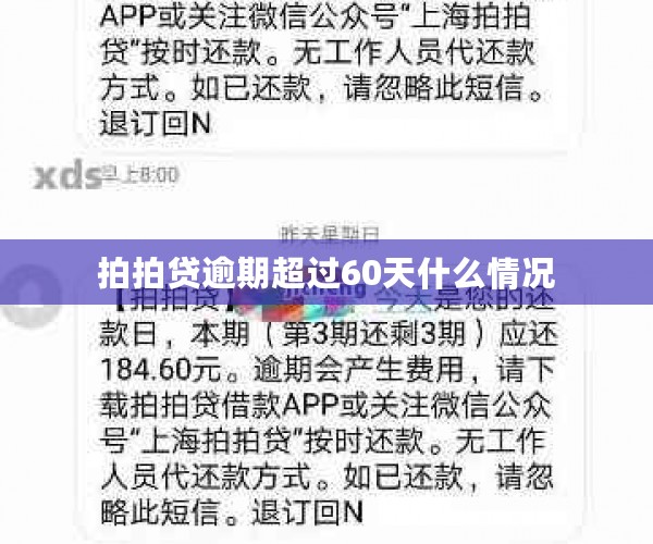 拍拍贷逾期超过60天什么情况