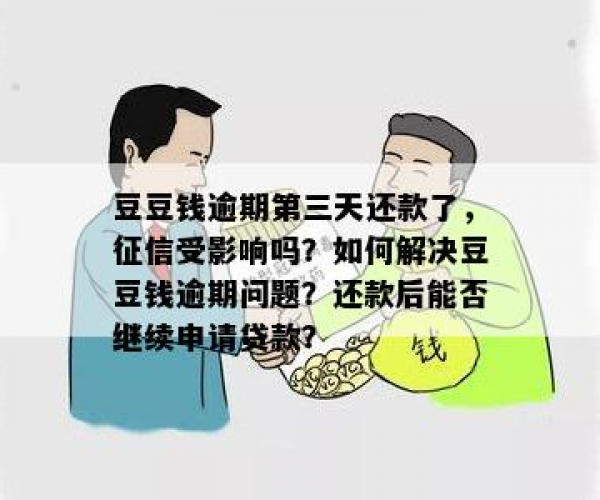 豆豆钱平台是否接受有逾期记录的征信申请借款？