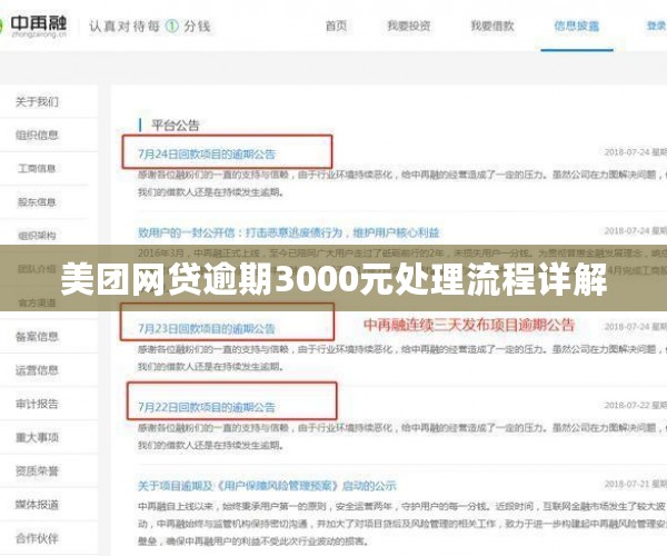 美团网贷逾期3000元处理流程详解