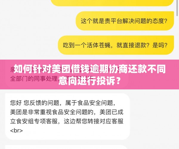 如何针对美团借钱逾期协商还款不同意向进行投诉？