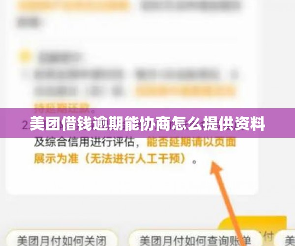 美团借钱逾期能协商怎么提供资料