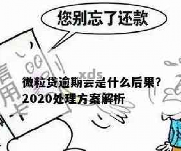 微粒贷逾期处理方案2020：最新版详解