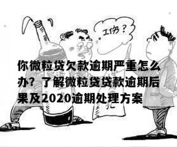 微粒贷逾期处理方案2020：最新版详解