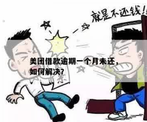 美团贷款逾期一个星期怎么办