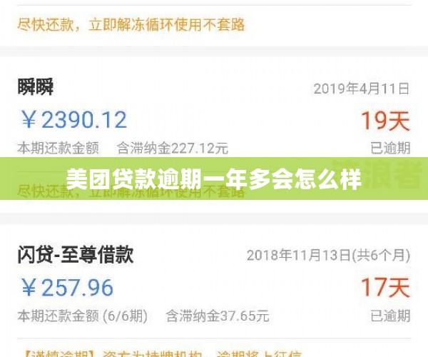美团贷款逾期一年多会怎么样