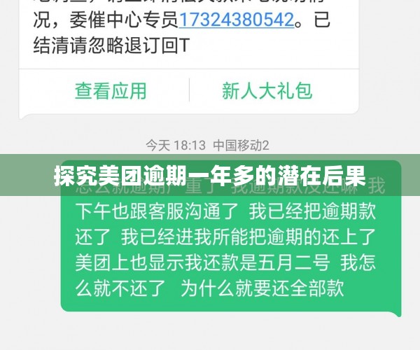 探究美团逾期一年多的潜在后果