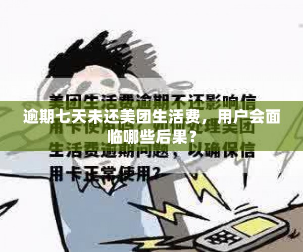 逾期七天未还美团生活费，用户会面临哪些后果？