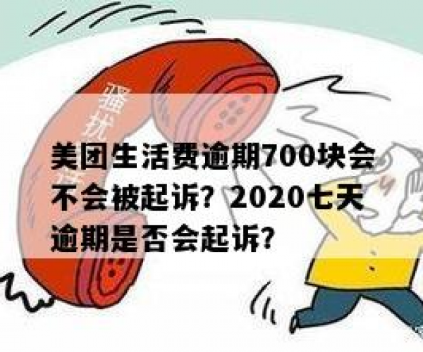 逾期七天未还美团生活费，用户会面临哪些后果？