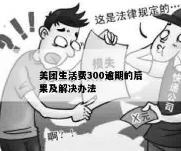 美团生活费逾期300块，解决方法全解析