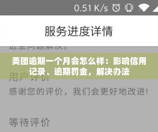 美团逾期一个月会怎么样：影响信用记录、逾期罚金，解决办法