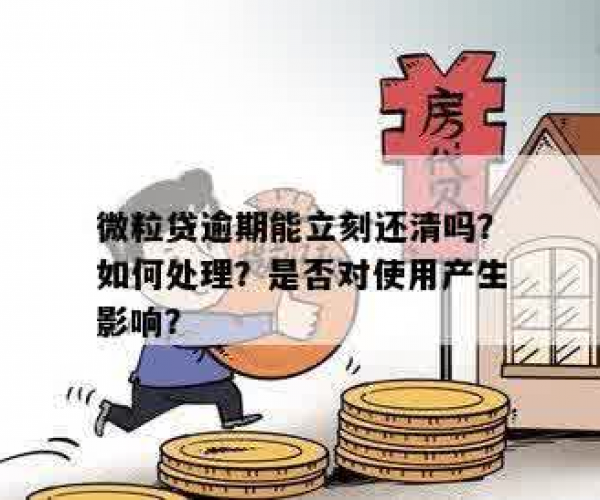 微粒贷逾期说年底清账什么意思啊？了解逾期的影响及解决办法