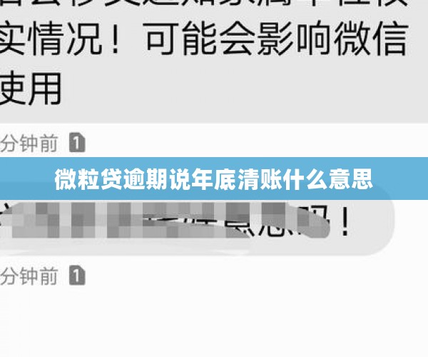 微粒贷逾期说年底清账什么意思