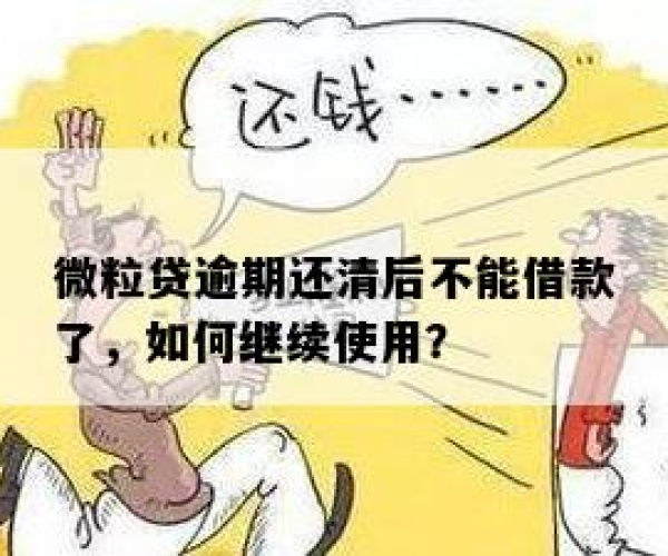 如何处理微粒贷分期未还清情况下继续借款的问题？