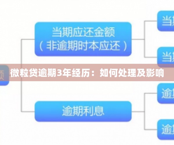 微粒贷逾期3年经历：如何处理及影响