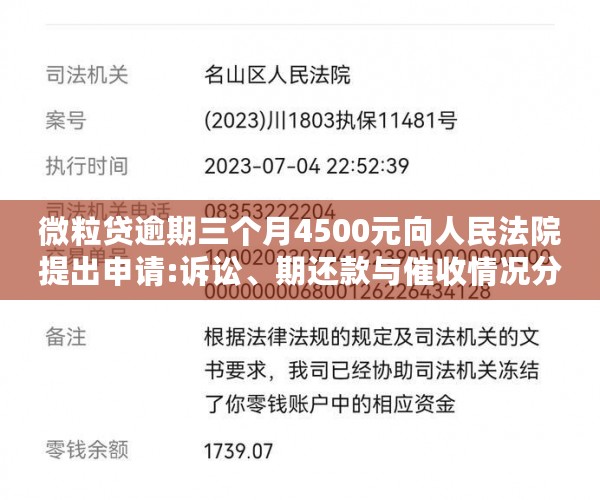 微粒贷逾期三个月4500元向人民法院提出申请:诉讼、期还款与催收情况分析