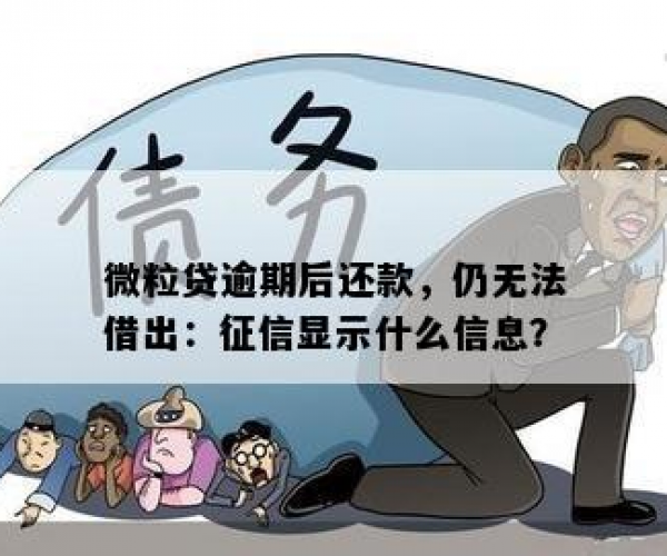 微粒贷逾期还款后无法借出，显示什么信息？