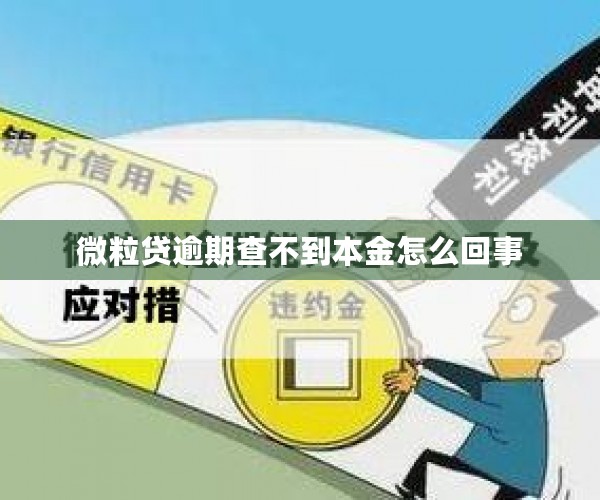 微粒贷逾期查不到本金怎么回事