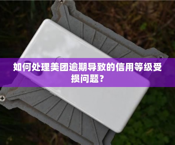 如何处理美团逾期导致的信用等级受损问题？