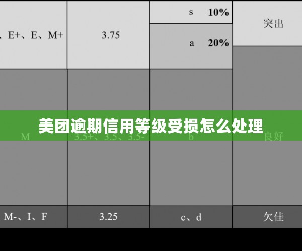 美团逾期信用等级受损怎么处理