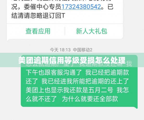 美团逾期信用等级受损怎么处理