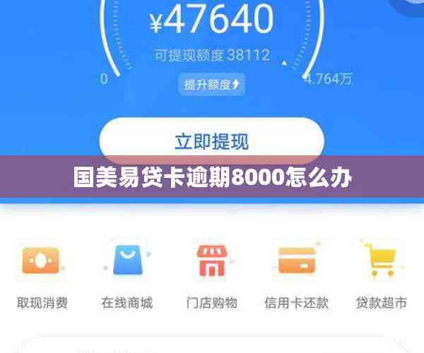 国美易贷卡逾期8000怎么办