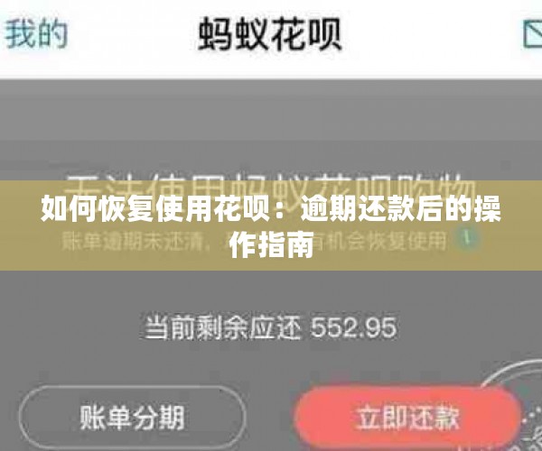 如何恢复使用花呗：逾期还款后的操作指南