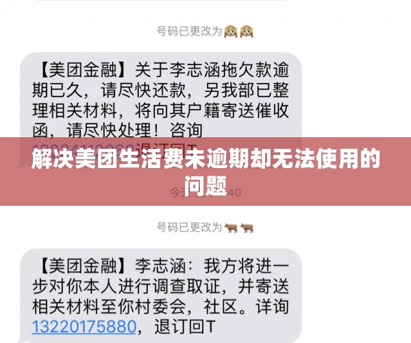 解决美团生活费未逾期却无法使用的问题