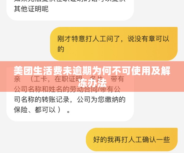 美团生活费未逾期为何不可使用及解冻办法