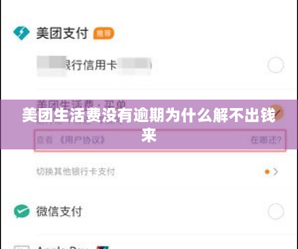 美团生活费没有逾期为什么解不出钱来