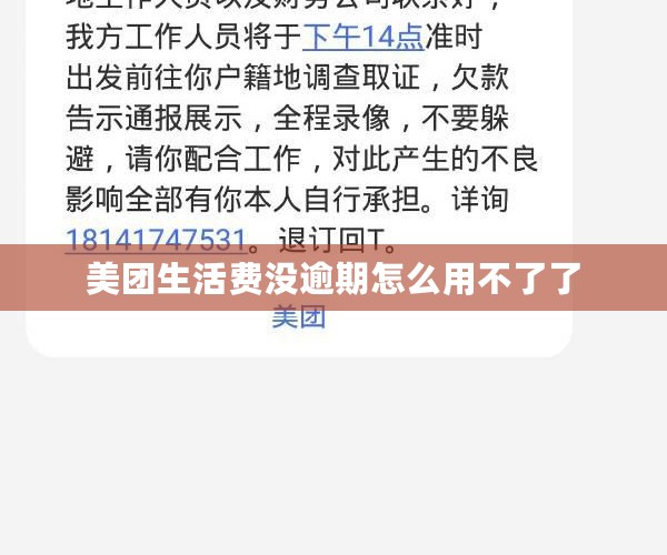 美团生活费没逾期怎么用不了了