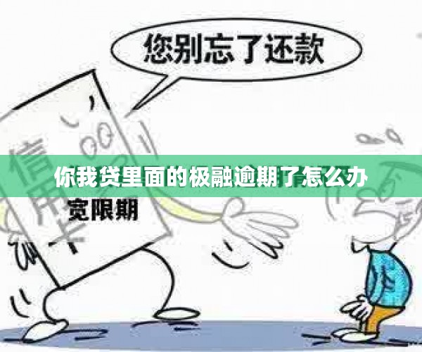 你我贷里面的极融逾期了怎么办