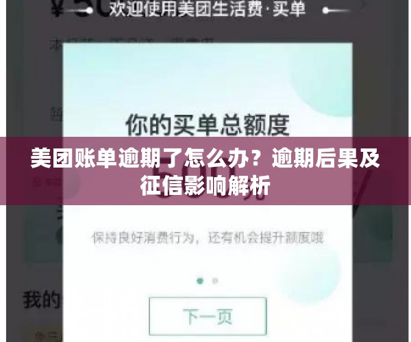 美团账单逾期了怎么办？逾期后果及征信影响解析