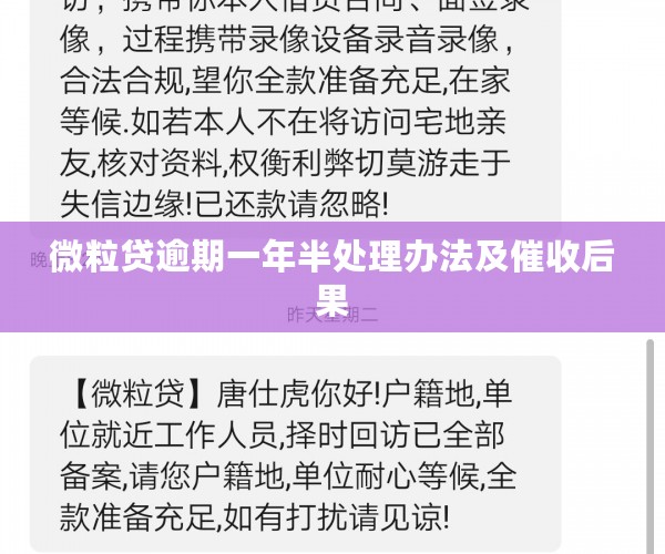 微粒贷逾期一年半处理办法及催收后果