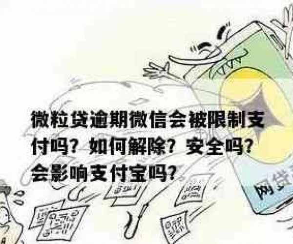 支付宝逾期微粒贷仍可使用，这些细节你了解吗？